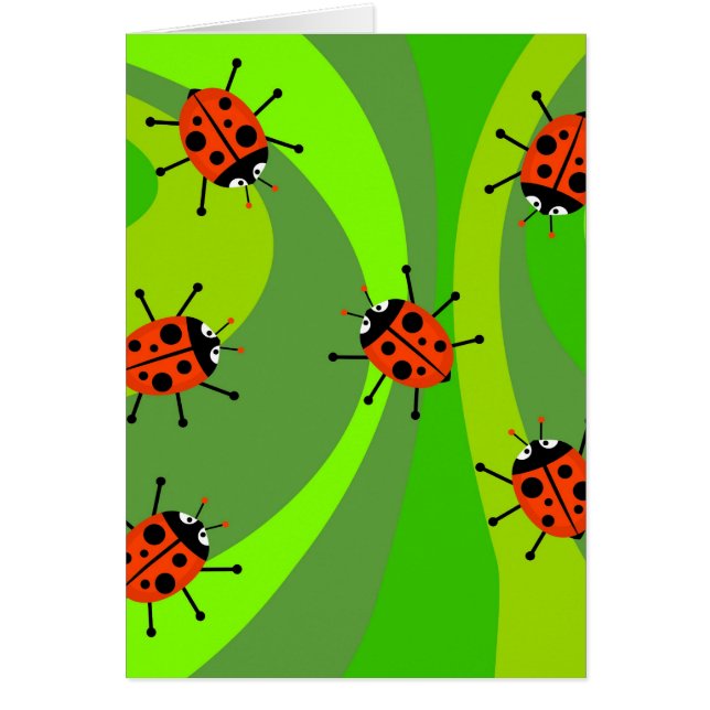 Funky Ladybugs (Voorkant)