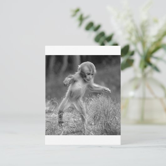 Funky Little Monkey Briefkaart (Staand voorkant)