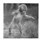 Funky Little Monkey Tegeltje (Voorkant)