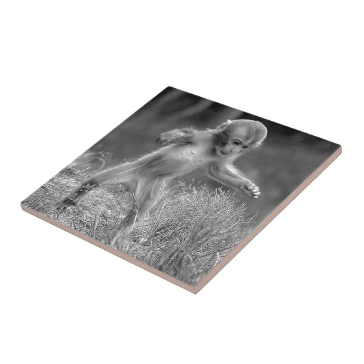 Funky Little Monkey Tegeltje (Zijkant)