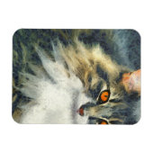 Funky Maine Coon Cat Art Magneet (Horizontaal)