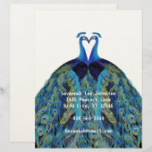 Funky  Peacocks Kissing Letterhead Briefhoofd Ontwerp (Voorkant / Achterkant)