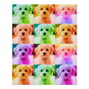 Funky pop art jaren 80 stijl voeg je eigen foto's perfect poster