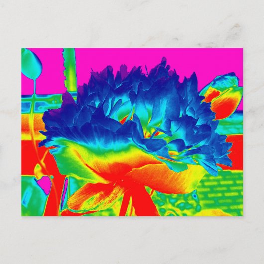 Funky Rainbow Multi Colour Flower Popart Briefkaart (Voorkant)