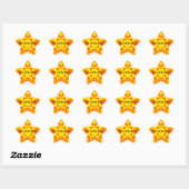 Funky Retro Oranje Yellow Circles Squares Ster Sticker (Vel)