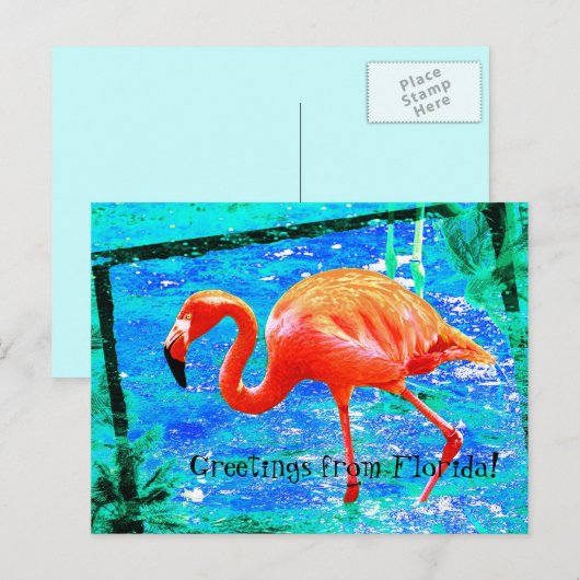 Funky roze Florida flamingo briefkaart (Voorkant / Achterkant)