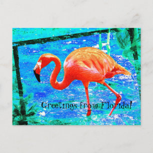 Funky roze Florida flamingo briefkaart