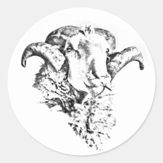 Funky Schattige Sheep Ram Head Sketch Ronde Sticker (Voorkant)