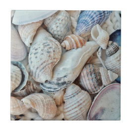 Funky Sea Shells Holiday Seaside Tegeltje