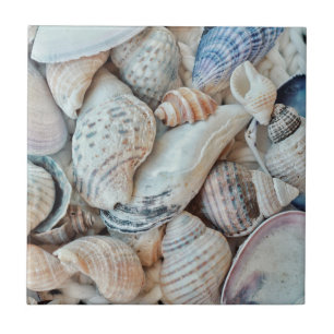 Funky Sea Shells Holiday Seaside Tegeltje