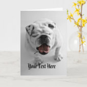 Funky Sjabloon van de Buldog - de Gelukwensen van (Gele Bloem)