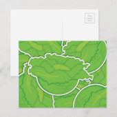Funky sla briefkaart (Voorkant / Achterkant)