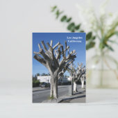 Funky Tree Los Angeles Briefkaart! Briefkaart (Staand voorkant)