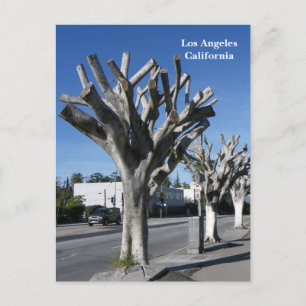Funky Tree Los Angeles Briefkaart! Briefkaart