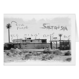 Funky Vacation - Salton Zee