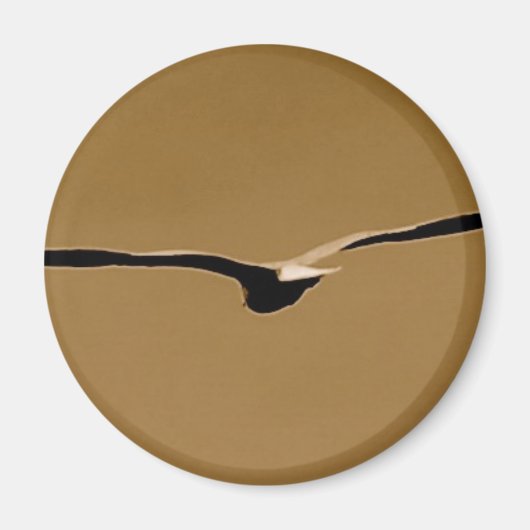 Funky Wings Magnet (Voorkant)
