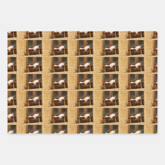 Funky Wrapping Paper Flat Sheet Set van 3 (Voorkant)