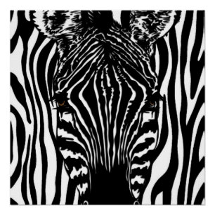 Funky Zebra Poster