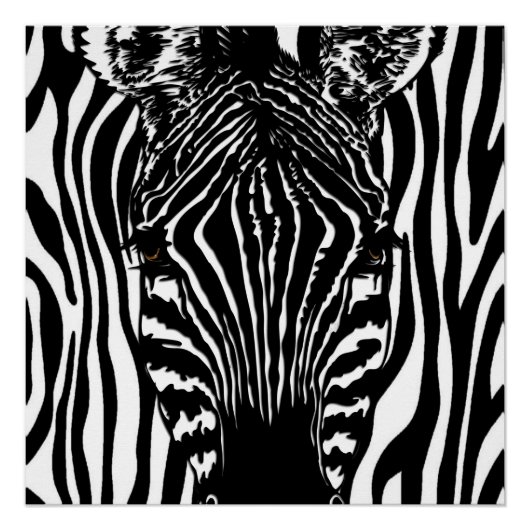 Funky Zebra Poster (Voorkant)