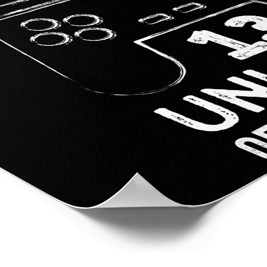 Funny 13th birthday level 13 unlocked gamers poster (Hoek)