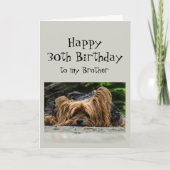 Funny 30th Birthday Brother Cute Dog Animal Kaart (Voorkant)