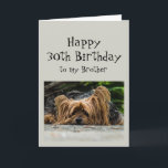 Funny 30th Birthday Brother Cute Dog Animal Kaart<br><div class="desc">Funny 30th Thirty Birthday Brother Cute Yorkshire Terrier Yorkie Dog Animal</div>