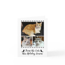 Funny 3 Foto-script van Cat Dog Pet