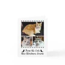 Funny 3 Foto-script van Cat Dog Pet met Kerstmis
