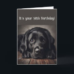 Funny 50th Birthday, Labrador Retriever Kaart<br><div class="desc">Grappige Verjaardag 50th,  Sad Dog,  originele waterverf Labrador Retriever, </div>