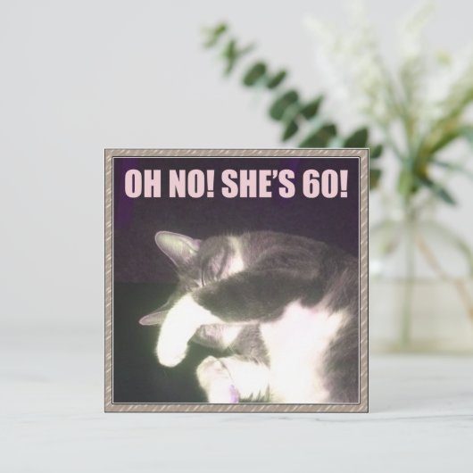 Funny 60th Birthday (Kat) Kaart (Staand voorkant)