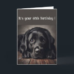 Funny 60th Birthday, Labrador Retriever Kaart<br><div class="desc">Funny Birthday 60th,  Sad Dog,  original waterverf Labrador Retriever, </div>