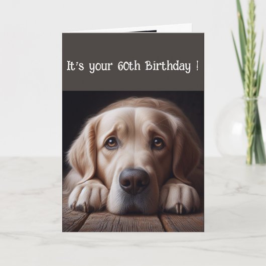 Funny 60th Birthday, Labrador Retriever Kaart (Voorkant)