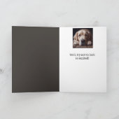 Funny 60th Birthday, Labrador Retriever Kaart (Binnen)