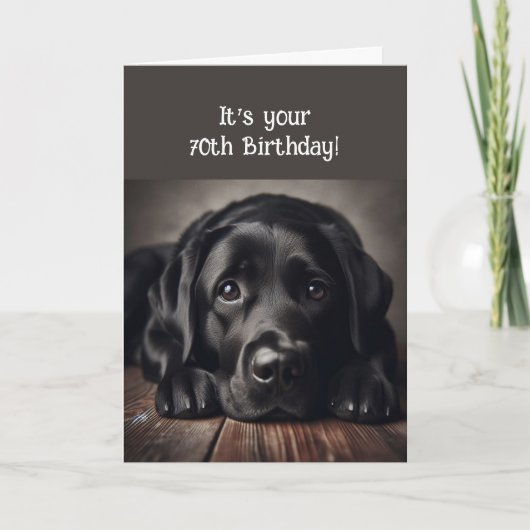 Funny 70th Birthday, Labrador Retriever Kaart (Voorkant)