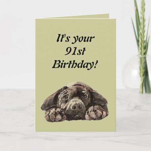 Funny 91st Birthday Customize Labrador Retriever Kaart (Voorkant)