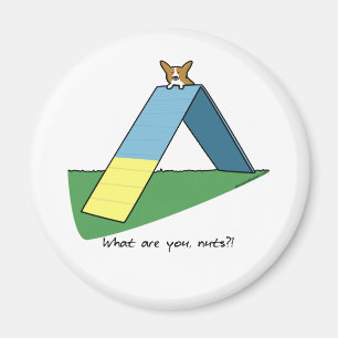 Funny A-Lijst Corgi Agility Magneet