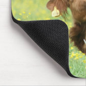 Funny Aberdeen Angus Cow Mousepad / Mousemat Muismat (Hoek)
