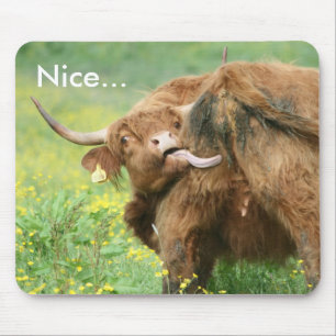 Funny Aberdeen Angus Cow Mousepad / Mousemat Muismat