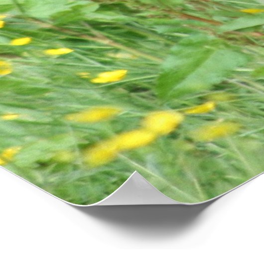 Funny Aberdeen Angus Koe Poster (Hoek)