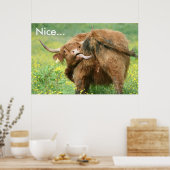 Funny Aberdeen Angus Koe Poster (Keuken)