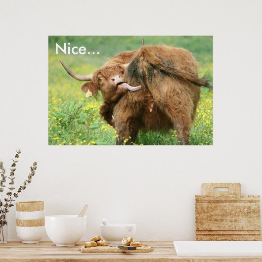 Funny Aberdeen Angus Koe Poster (Keuken)