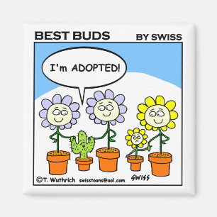 Funny Adopted Cactus and Flowers Cartoon Adoptie Magneet