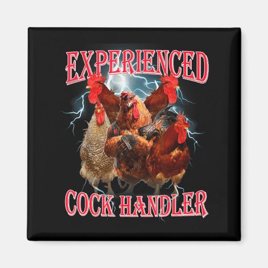 Funny Adult Humor Experienced Handler Inappropriat Magneet (Voorkant)