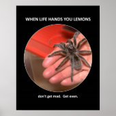 Funny Advice krijg niet zo veel geld Poster (Voorkant)