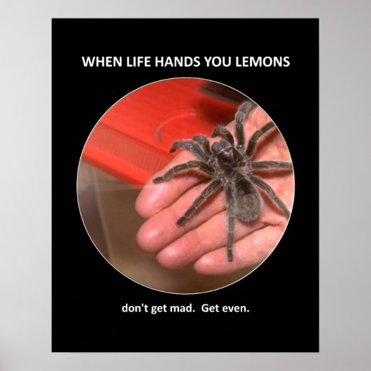 Funny Advice krijg niet zo veel geld Poster (Voorkant)