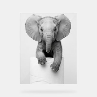 Funny Aesthetic Baby Elephant ToiletPaper Wildlife Acryl Bord