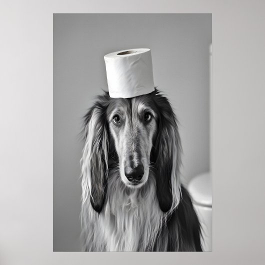 Funny Afghan Hound Bathroom Print, Toilet Paper Poster (Voorkant)