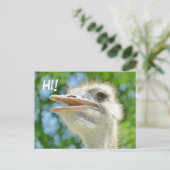 Funny African Ostrich - Hi Briefkaart (Staand voorkant)
