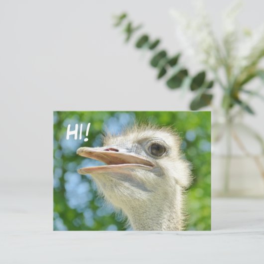 Funny African Ostrich - Hi Briefkaart (Staand voorkant)