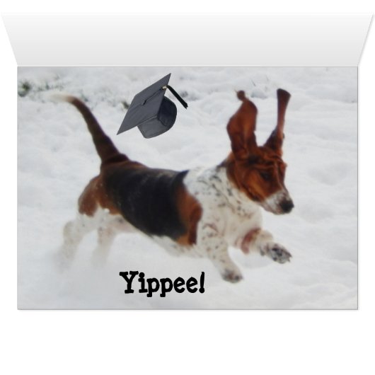 Funny Afstuderen Card voor 2019 met Basset Hounds (Binenzijde Horizontaal (Onderkant))